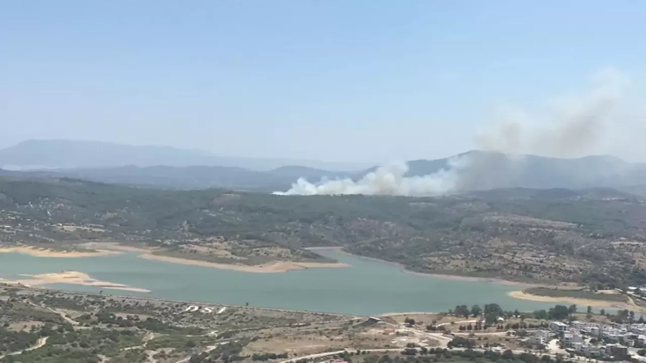 Muğla'nın Milas ilçesinde orman yangını çıktı