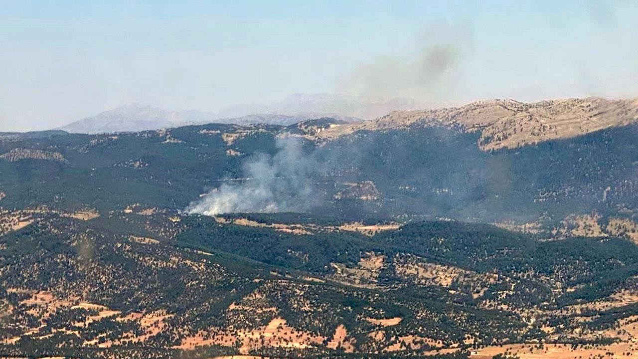 Adana'da orman yangını