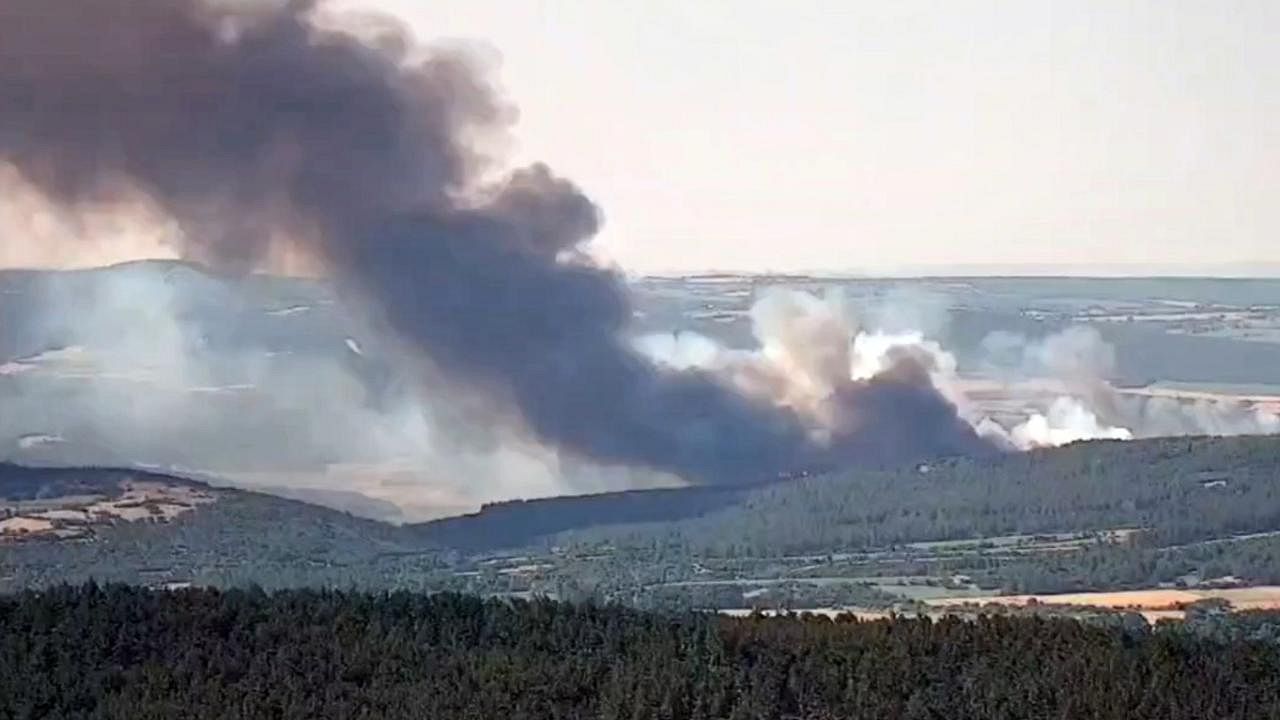 Tekirdağ'da orman yangını