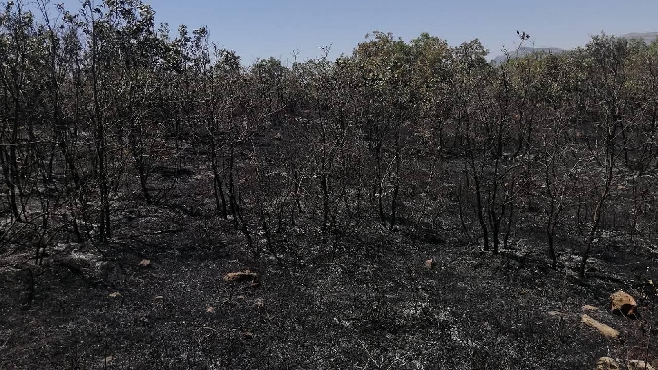 Diyarbakır’da 18 saattir devam eden yangın kontrol altına alındı