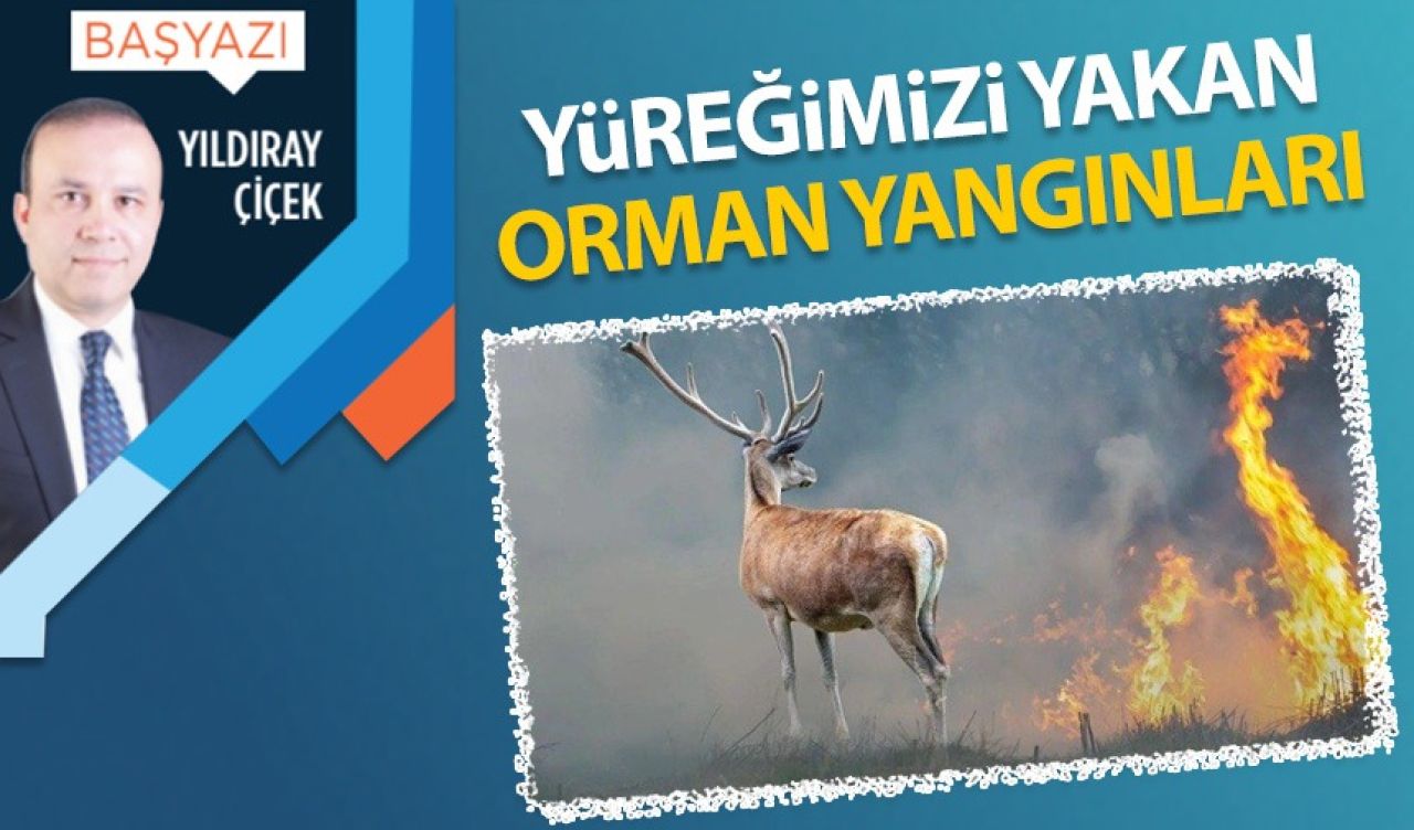 Yüreğimizi yakan orman yangınları