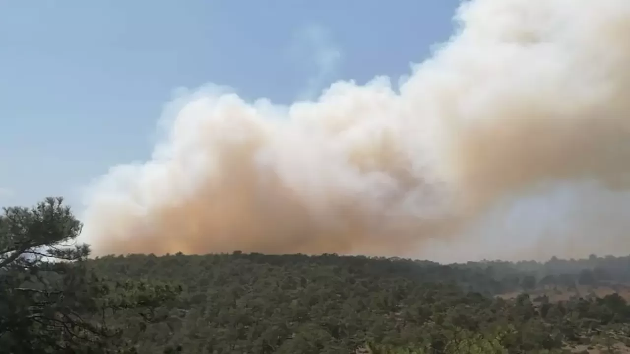 Denizli'de orman yangını