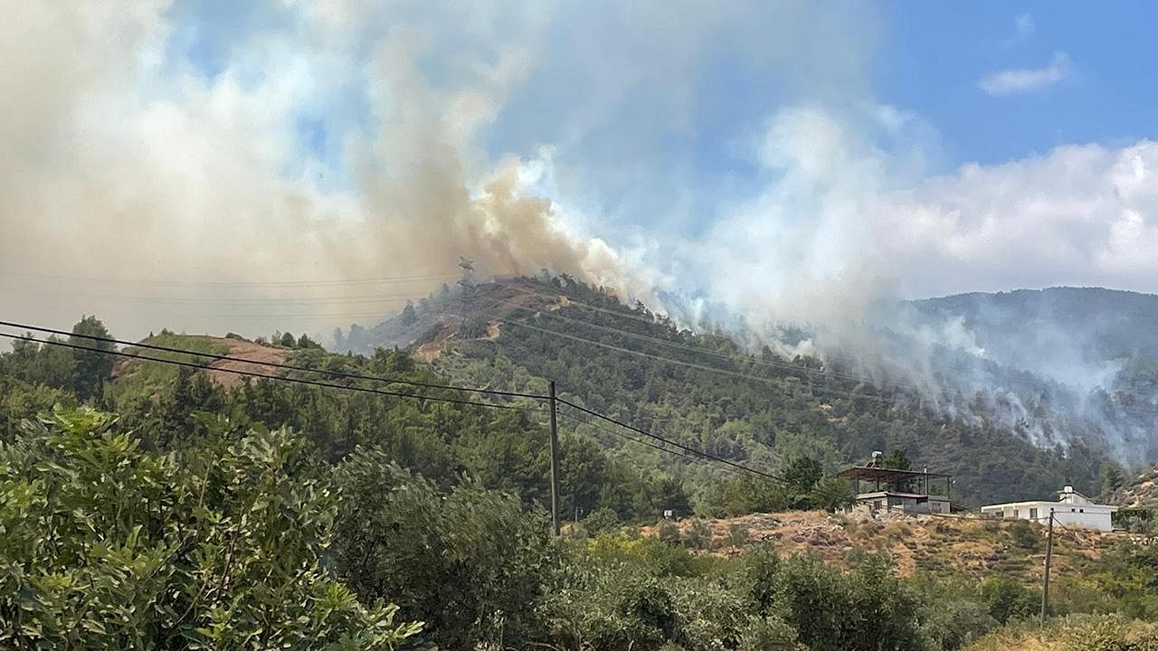 Hatay'da orman yangını: Havadan ve karadan müdahale başladı