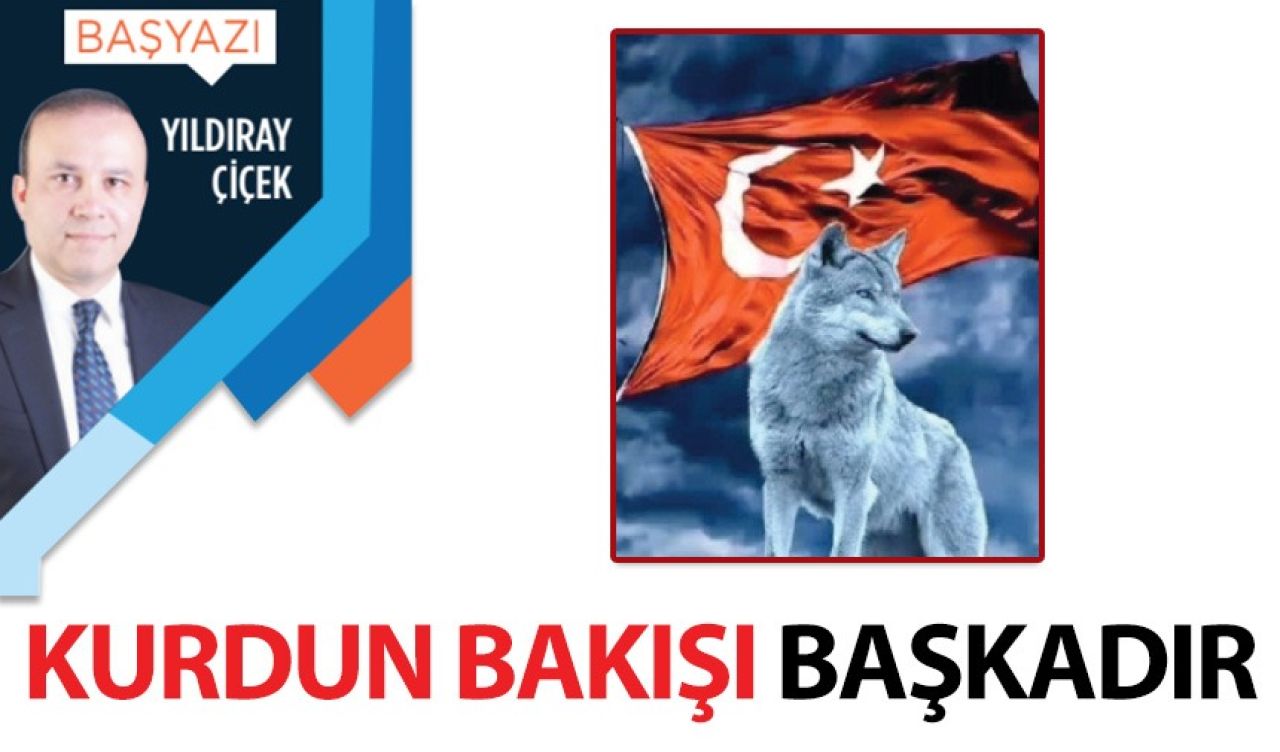 Kurdun bakışı başkadır