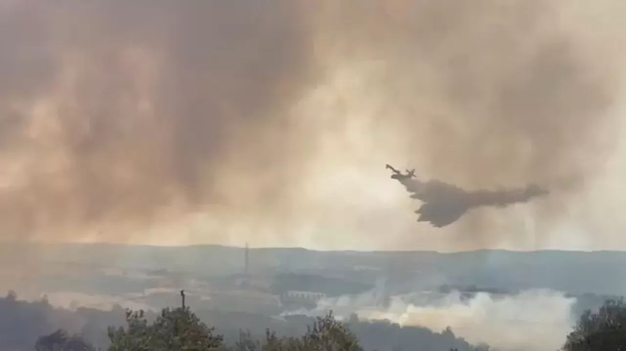 Son dakika: Çanakkale yangınında son durum! Bölgeden acı kareler...