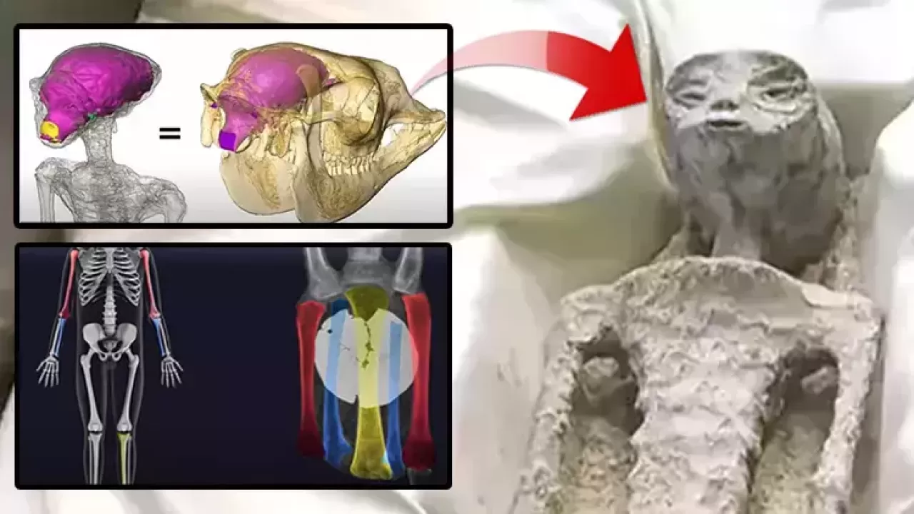 Meksika'da sergilenen 'uzaylı'ların arkasındaki gerçek! Her şey bir kurgu mu?