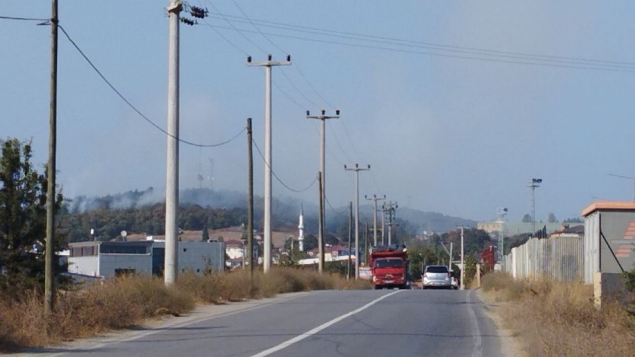 Kocaeli'de ormanlık alanda yangın çıktı