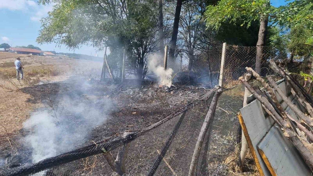 Sinop’ta çıkan eş zamanlı yangınlar korkuttu