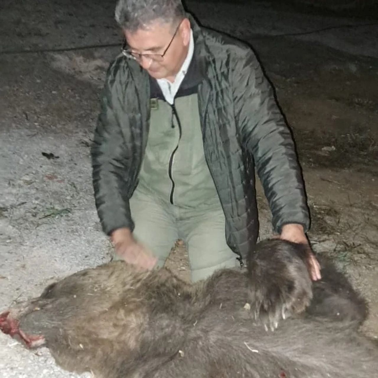 Çanakkale'de tırın çarptığı ayının ölümüne üzülen ormancı sosyal medyada ilgi odağı oldu