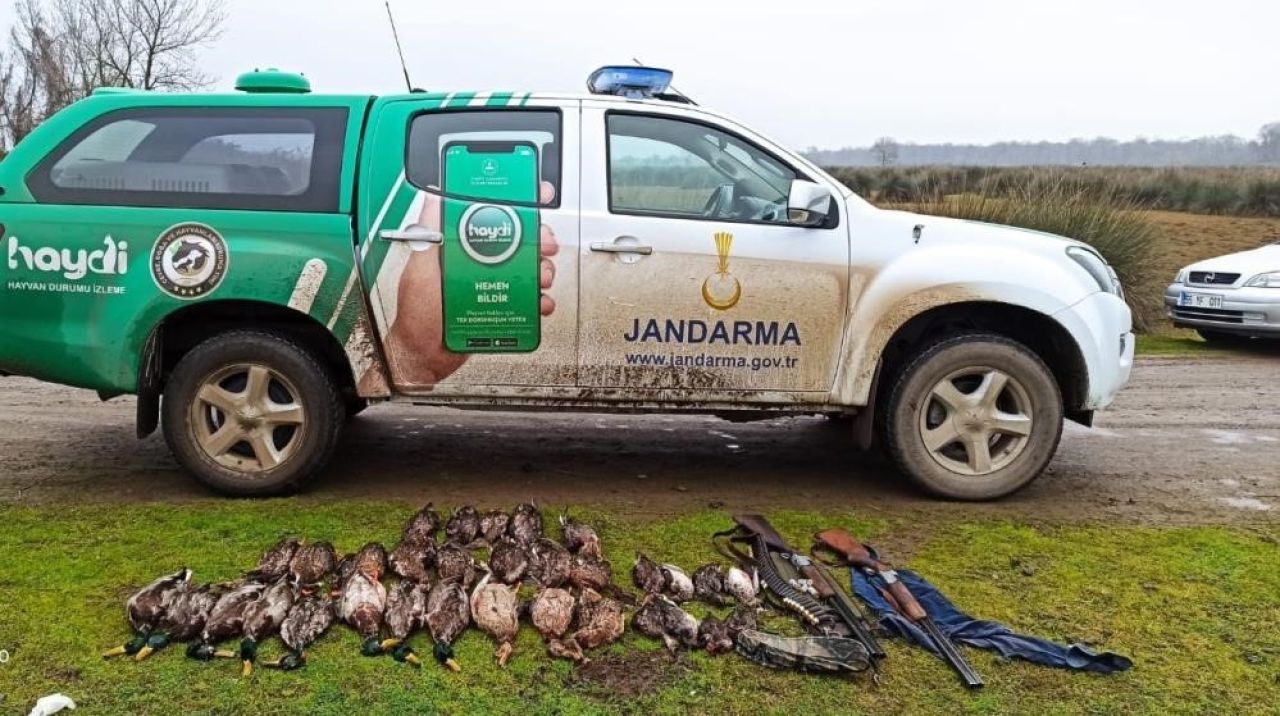 Samsun’da kaçak avcılara ve hayvanlara kötü davrananlara ceza yağdı