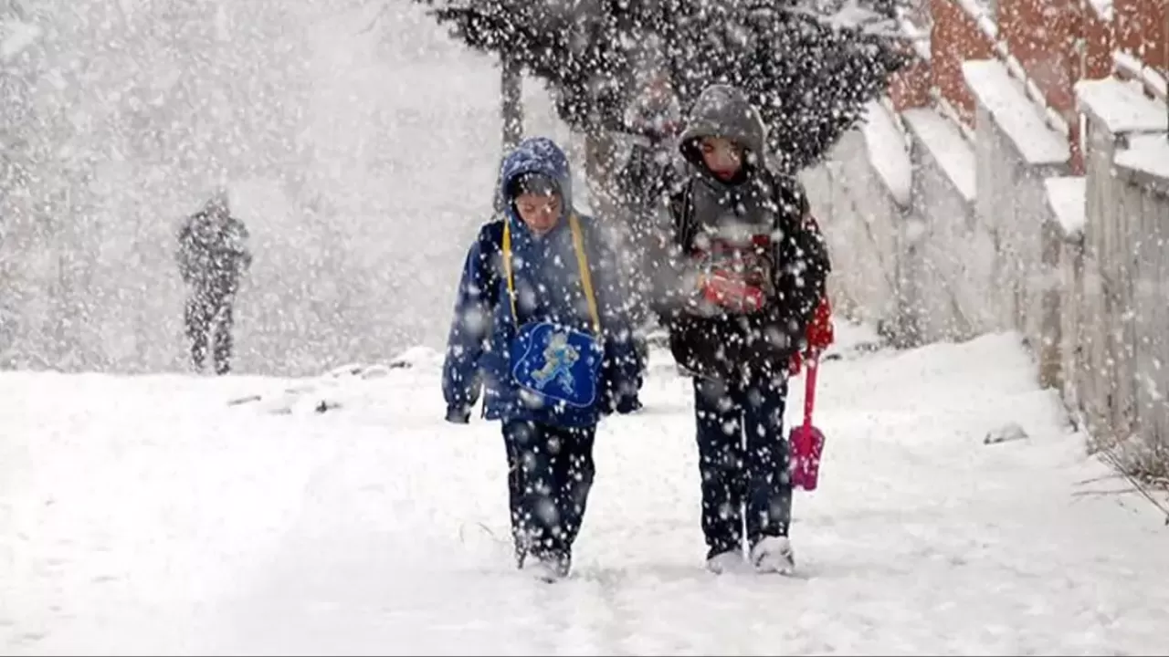 Yoğun kar yağışı nedeniyle Artvin'in 5 ilçesinde eğitime ara verildi