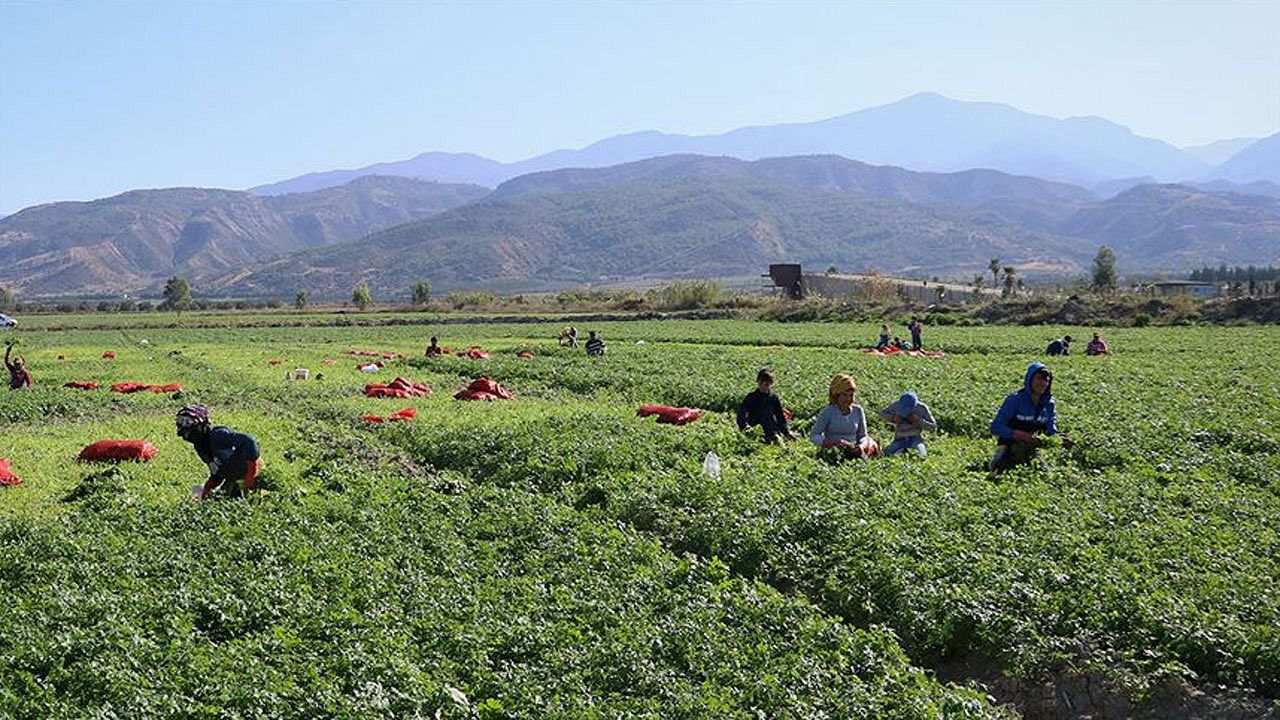 Tarım ve Orman Bakanlığı 1.500 işçi alımı duyurusu!