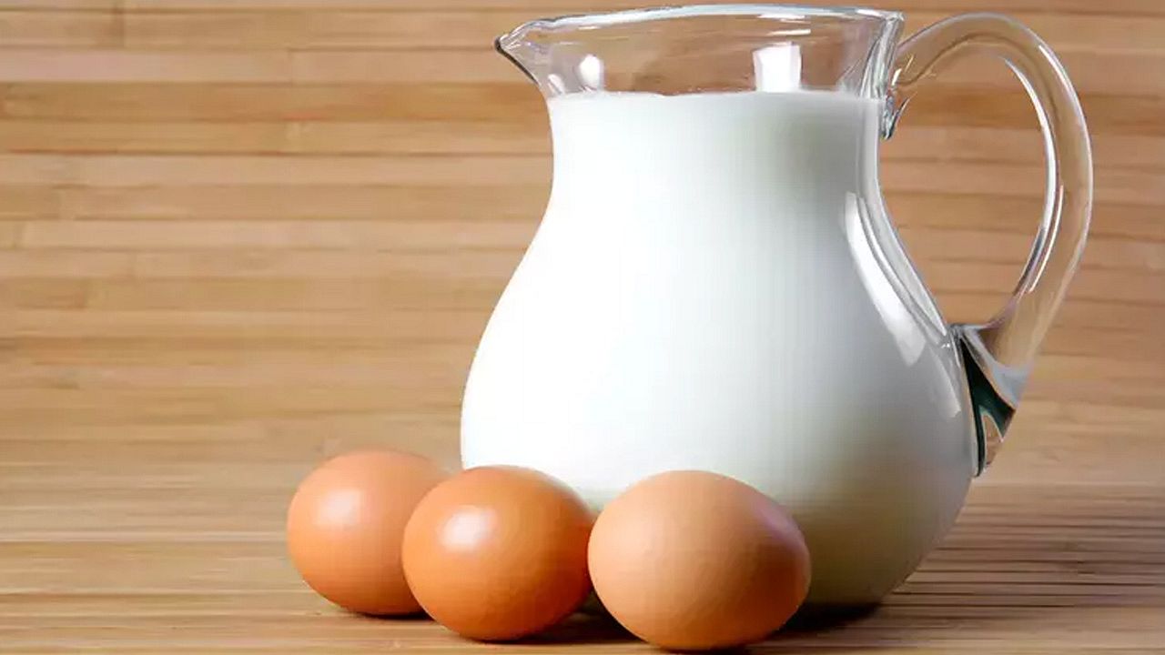 Süt ve yumurta üretiminde artış