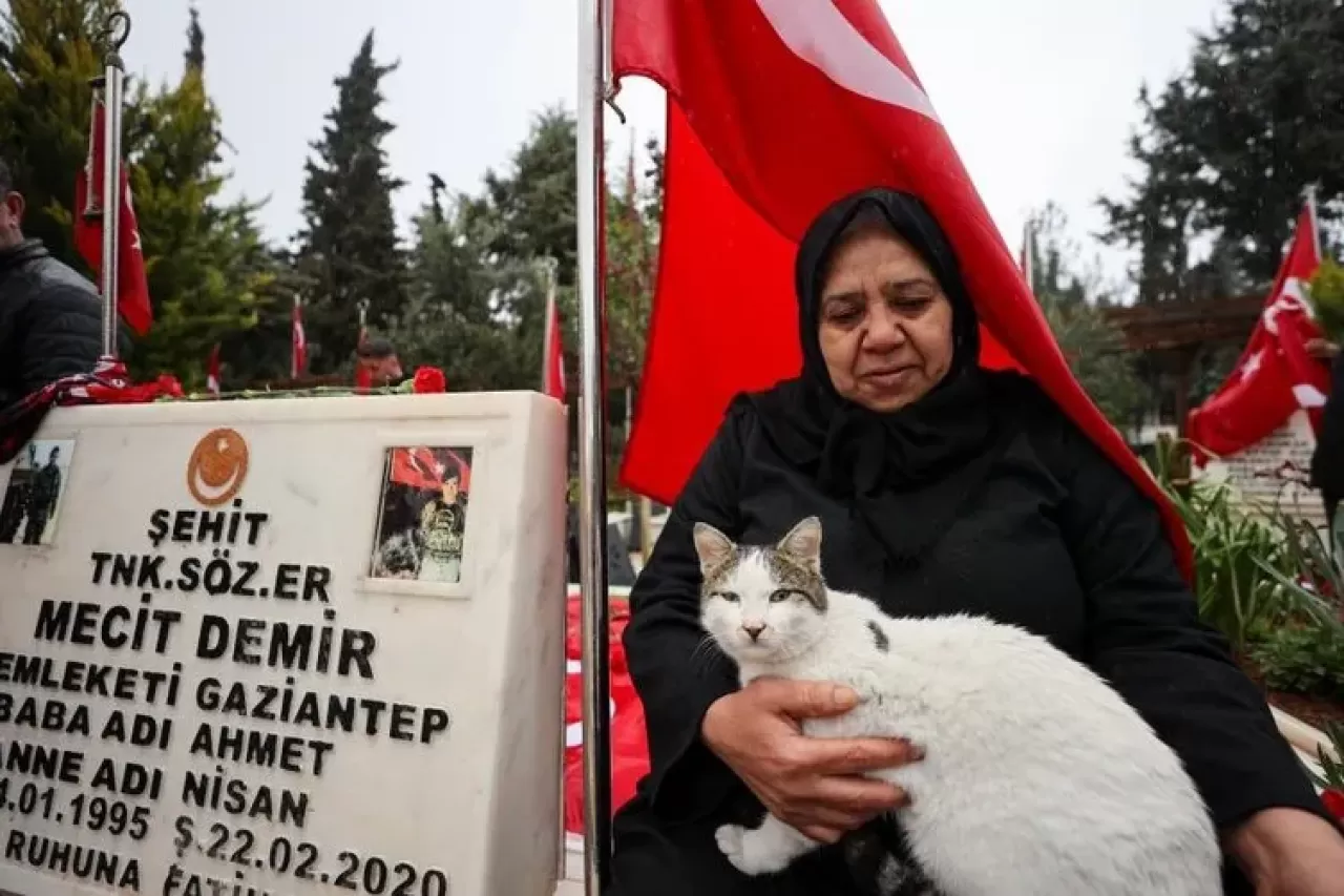 Bu kedi şehitlikten bir an ayrılmıyor! "Ben ağlarken gözyaşlarımı patileriyle siliyor"