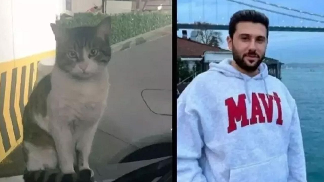 Kedi Eros'un katili İbrahim Keloğlan'ın cezası açıklandı