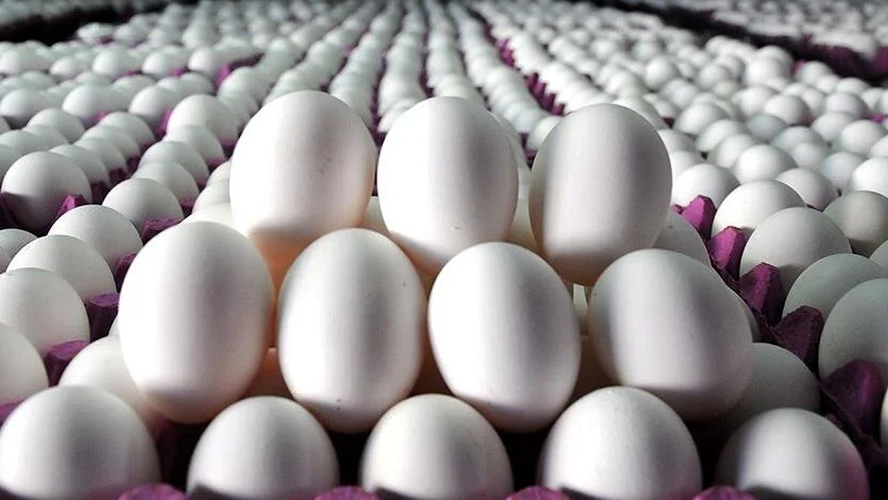 Mart ayında en çok yumurtanın fiyatı düştü!