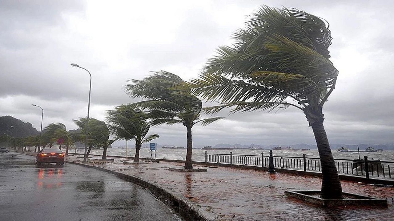 Ordu için fırtına uyarısı