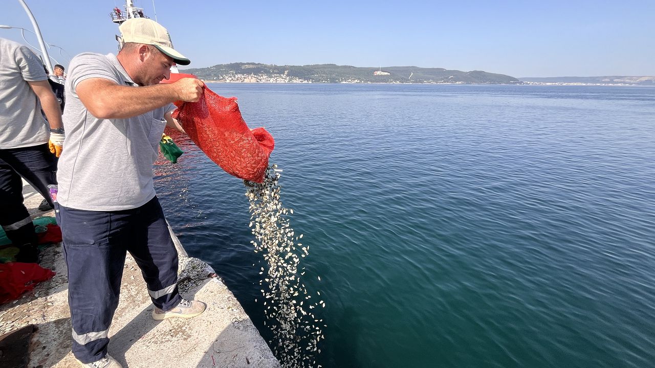 Çanakkale'de 3 ton kum şırlanı ele geçirildi