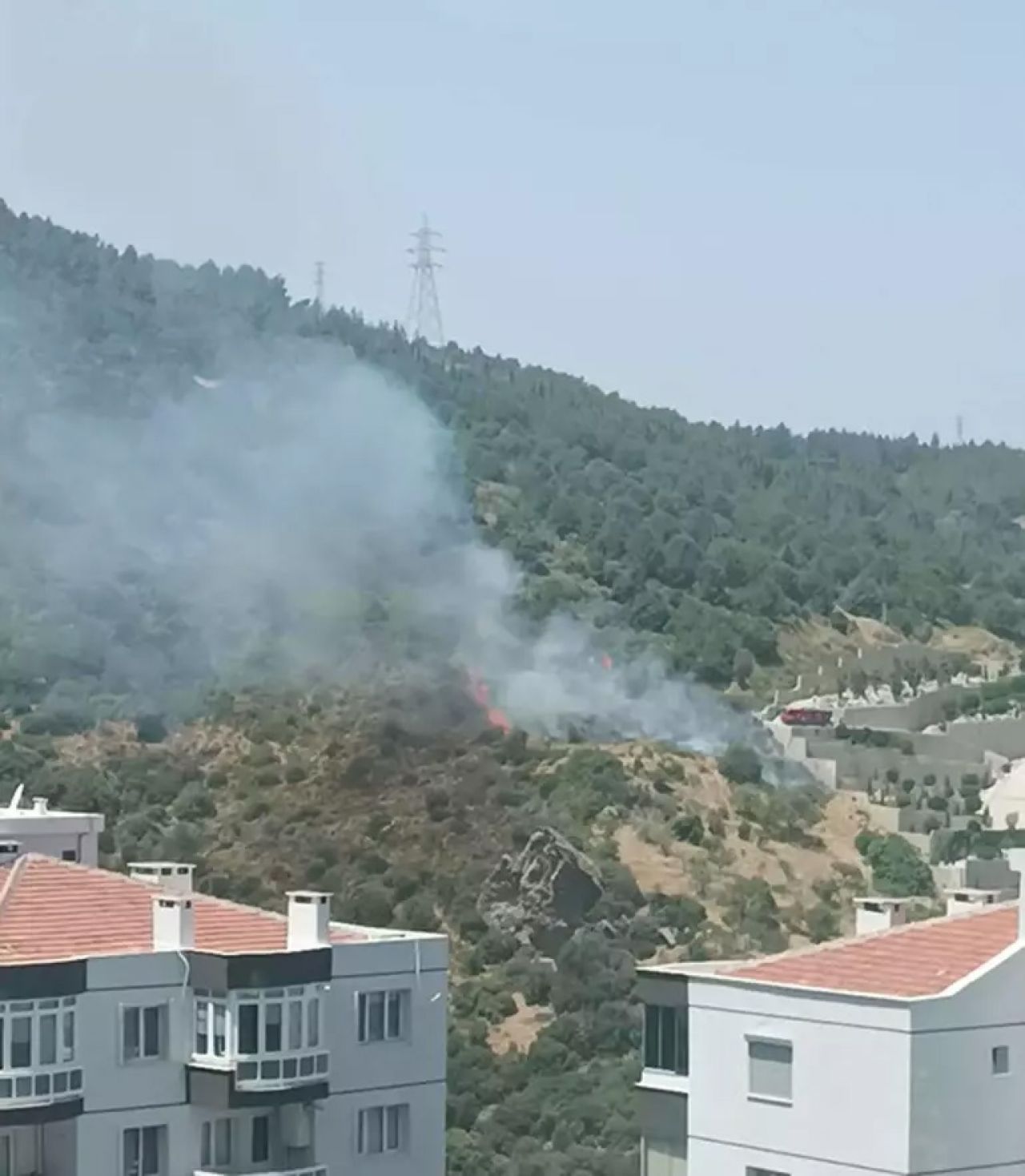 İzmir'de orman yangını! Ekipler müdahale ediyor