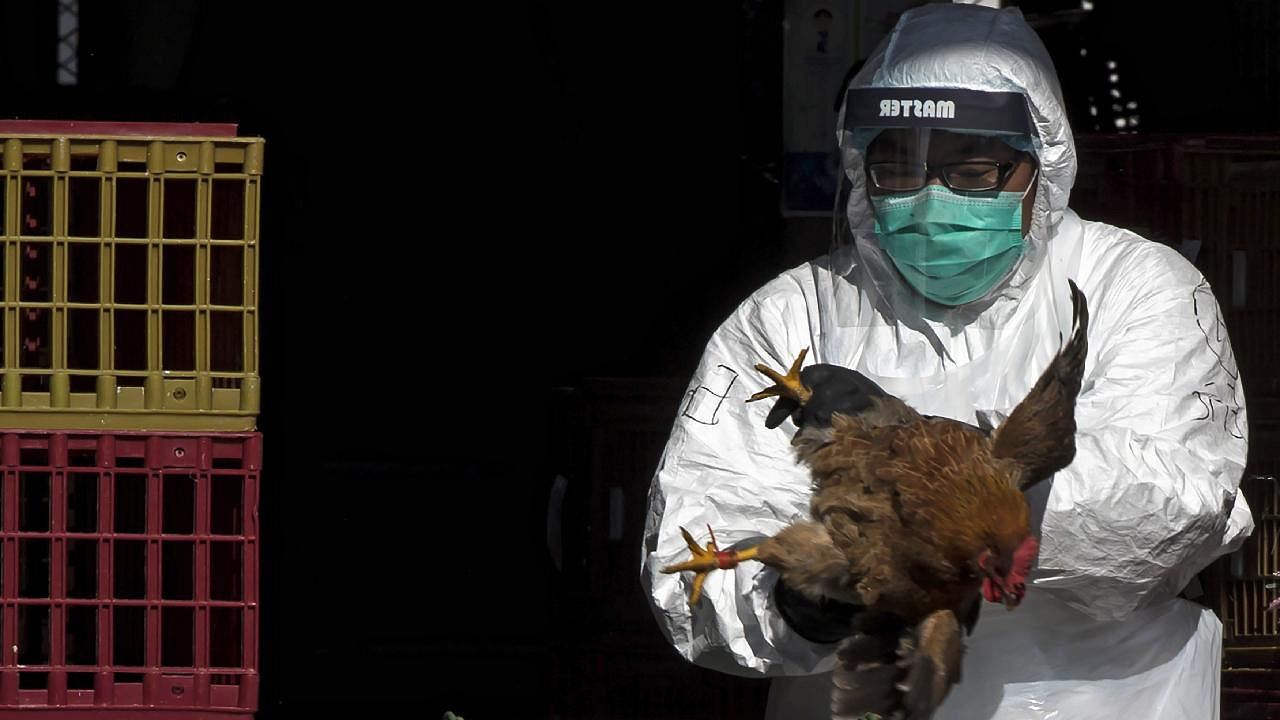 DSÖ doğruladı: A(H5N2) kaynaklı ilk ölüm