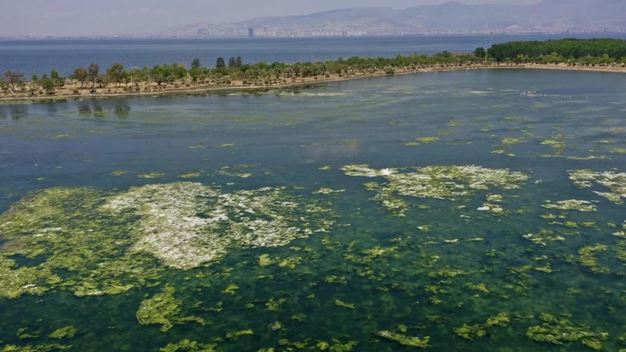 'İzmir Körfezi Acil Eylem Planı' açıklandı