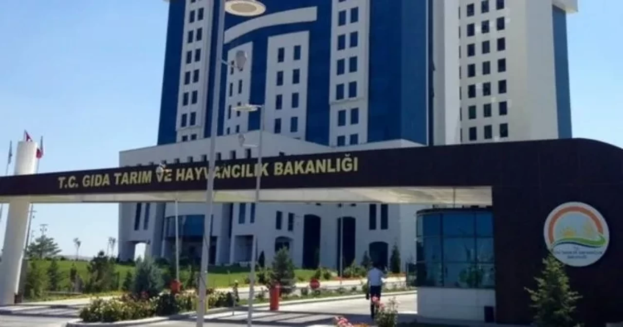 Bakanlık, ürünlerinde boya ve ilaç etken maddesi bulunan 3 firmayı ilan etti