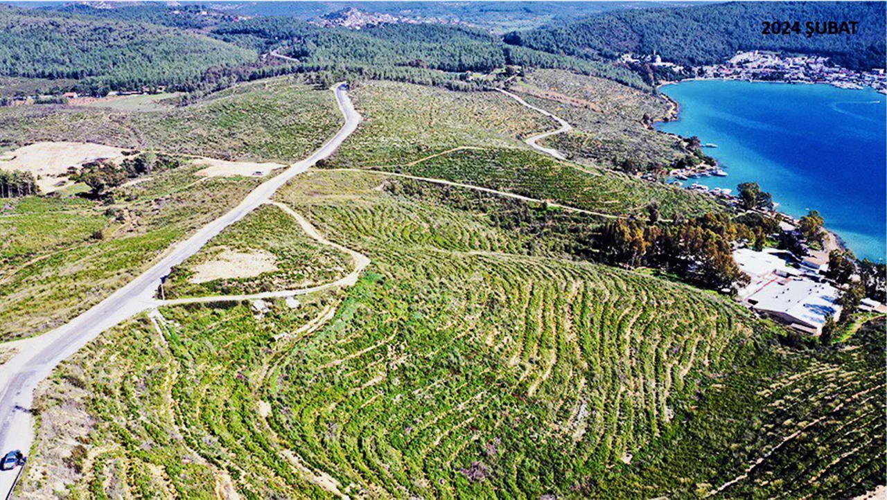 Orman Genel Müdürlüğünden Bodrum’da yanan alanlar hakkında açıklama