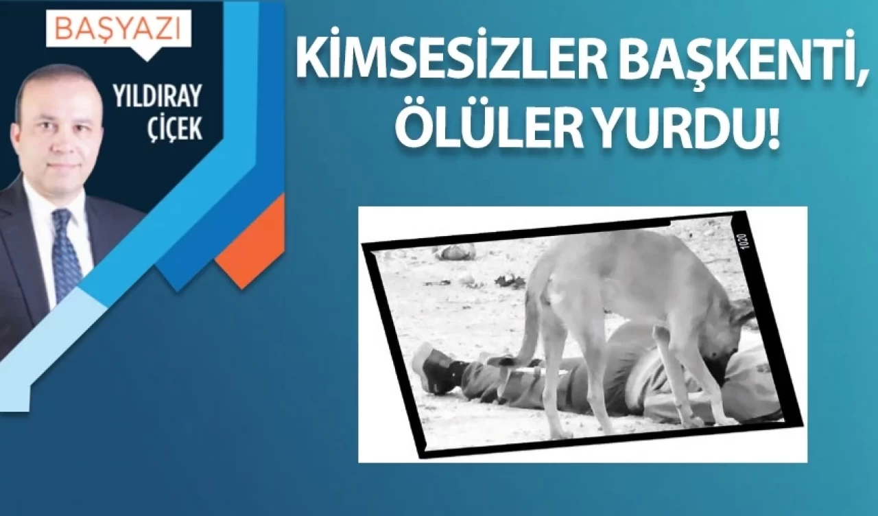 Kimsesizler başkenti, ölüler yurdu!