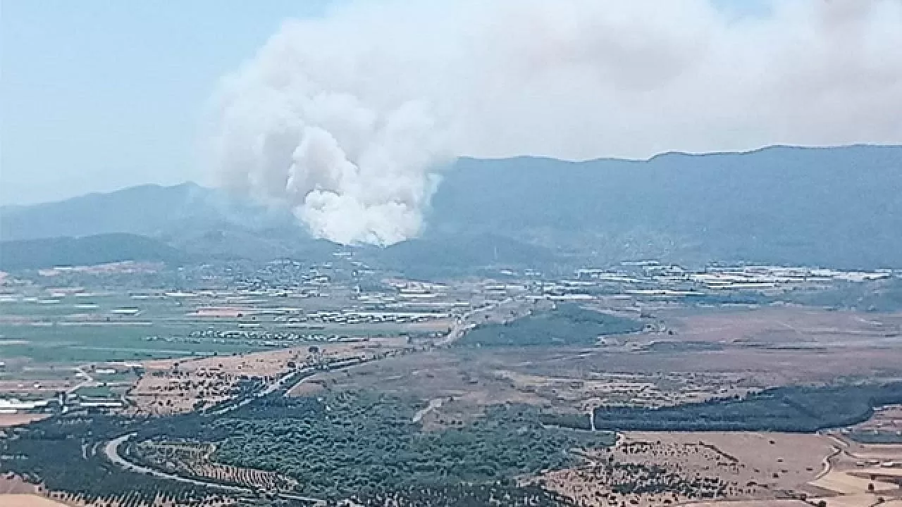 İzmir, Balıkesir, Karaman ve Bursa'da ormanlık alanda yangın