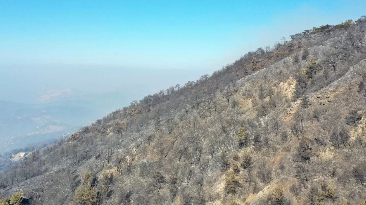 İstanbul'da Orman Yangını Tehlikesi: AKOM'dan vatandaşlara uyarı!