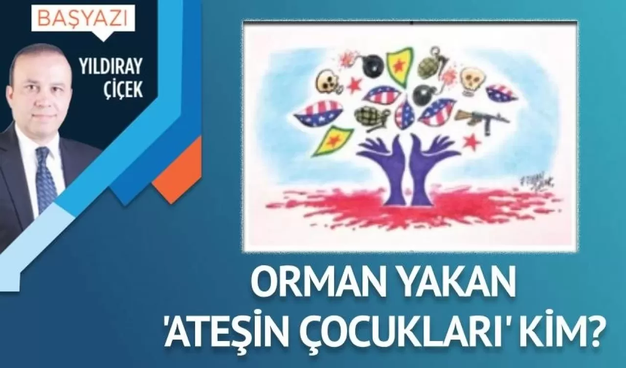 Orman yakan 'Ateşin Çocukları' kim?