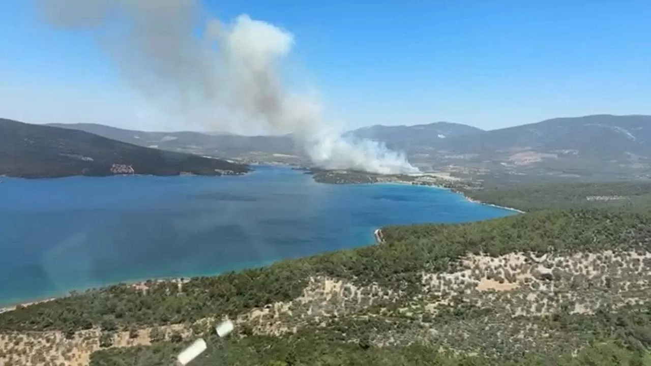 Muğla'da orman yangını: Havadan ve karadan müdahale ediliyor