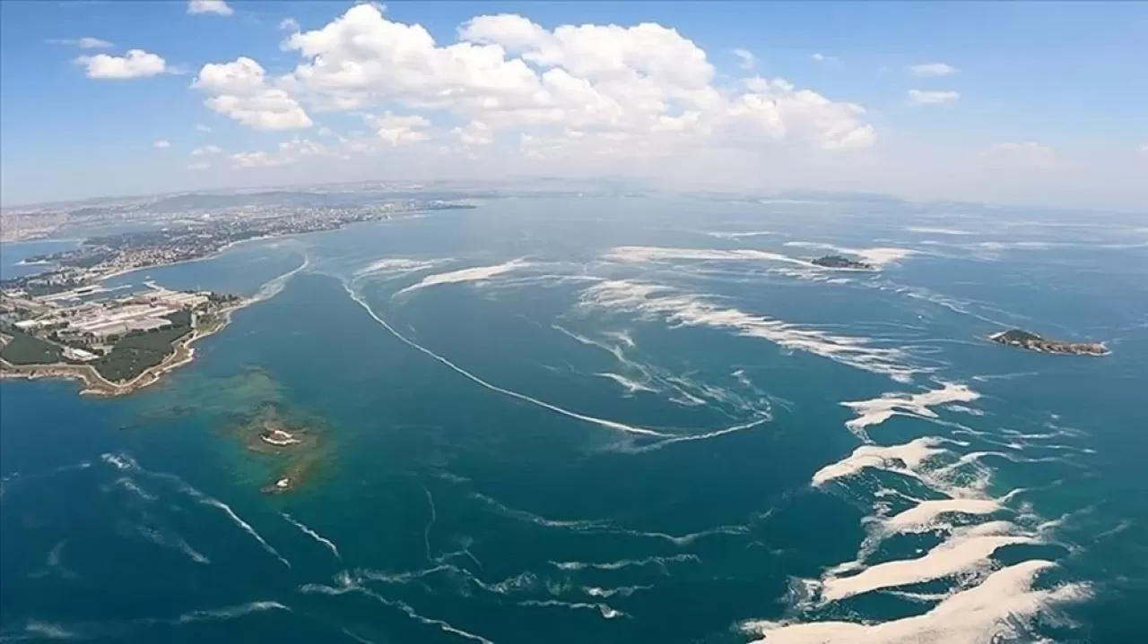 Marmara Denizi'nde tehlikeli durum: Çevresel felaket kapıda durum kritik!