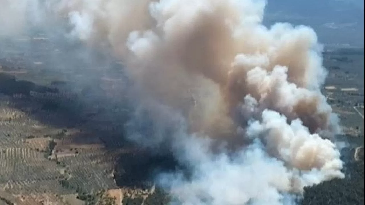 4 ilde orman yangını: Ekiplerin müdahalesi sürüyor