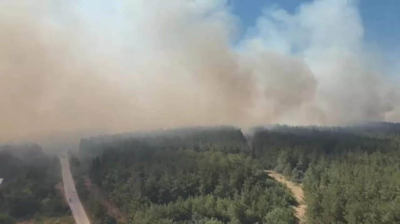Bursa'daki orman yangınıyla ilgili soruşturma başlatıldı