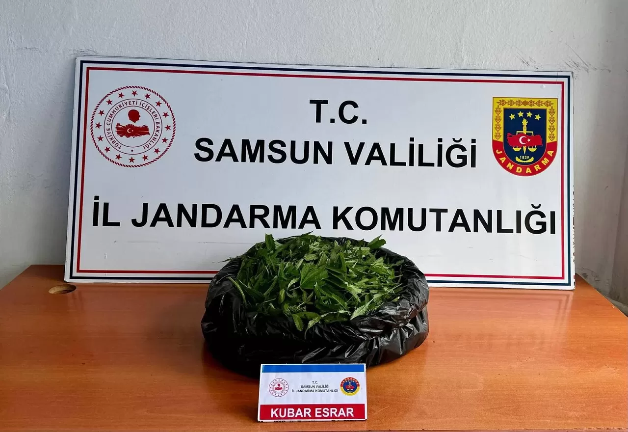 Samsun'da jandarma operasyonunda 5,5 kilo uyuşturucu ele geçirildi