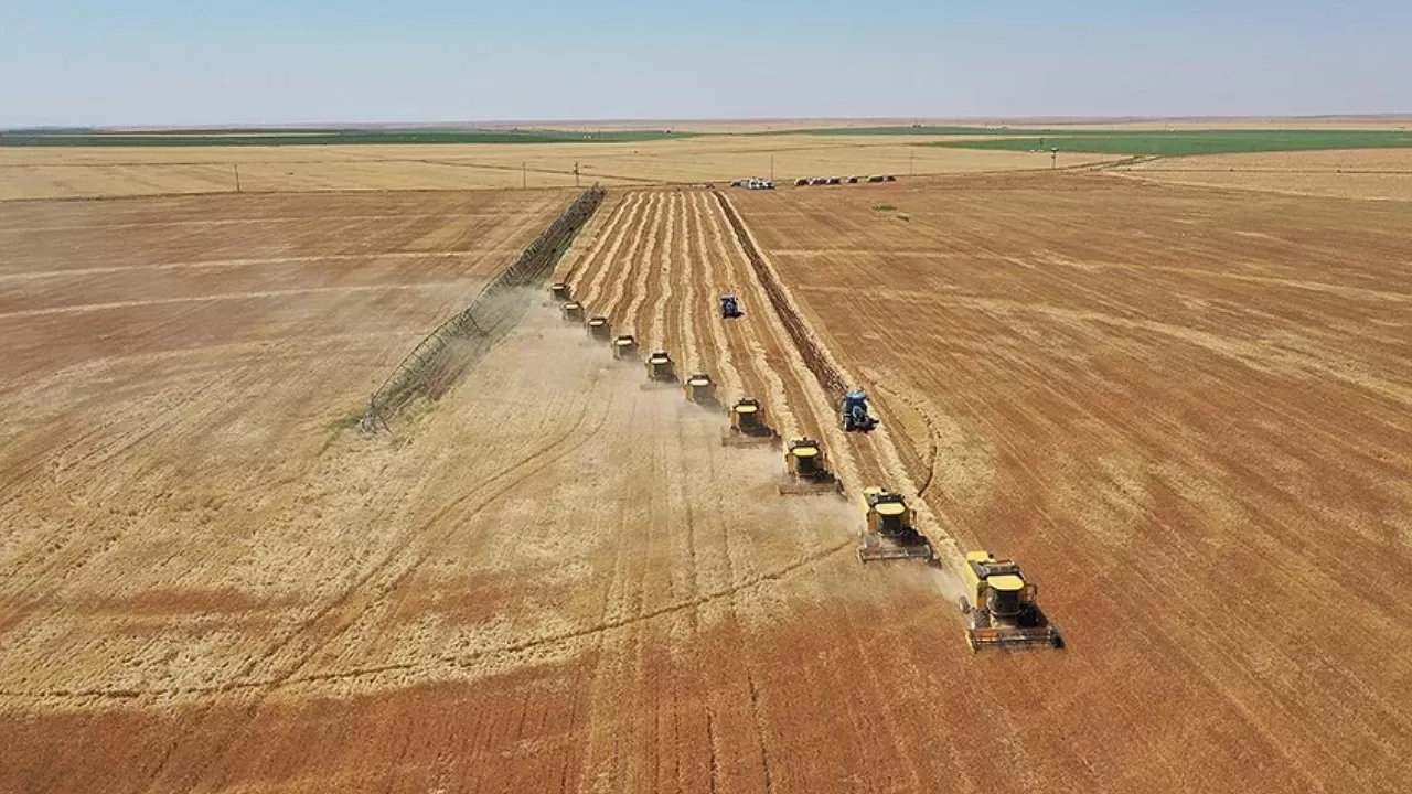 Tarımda planlı üretim dönemi başladı