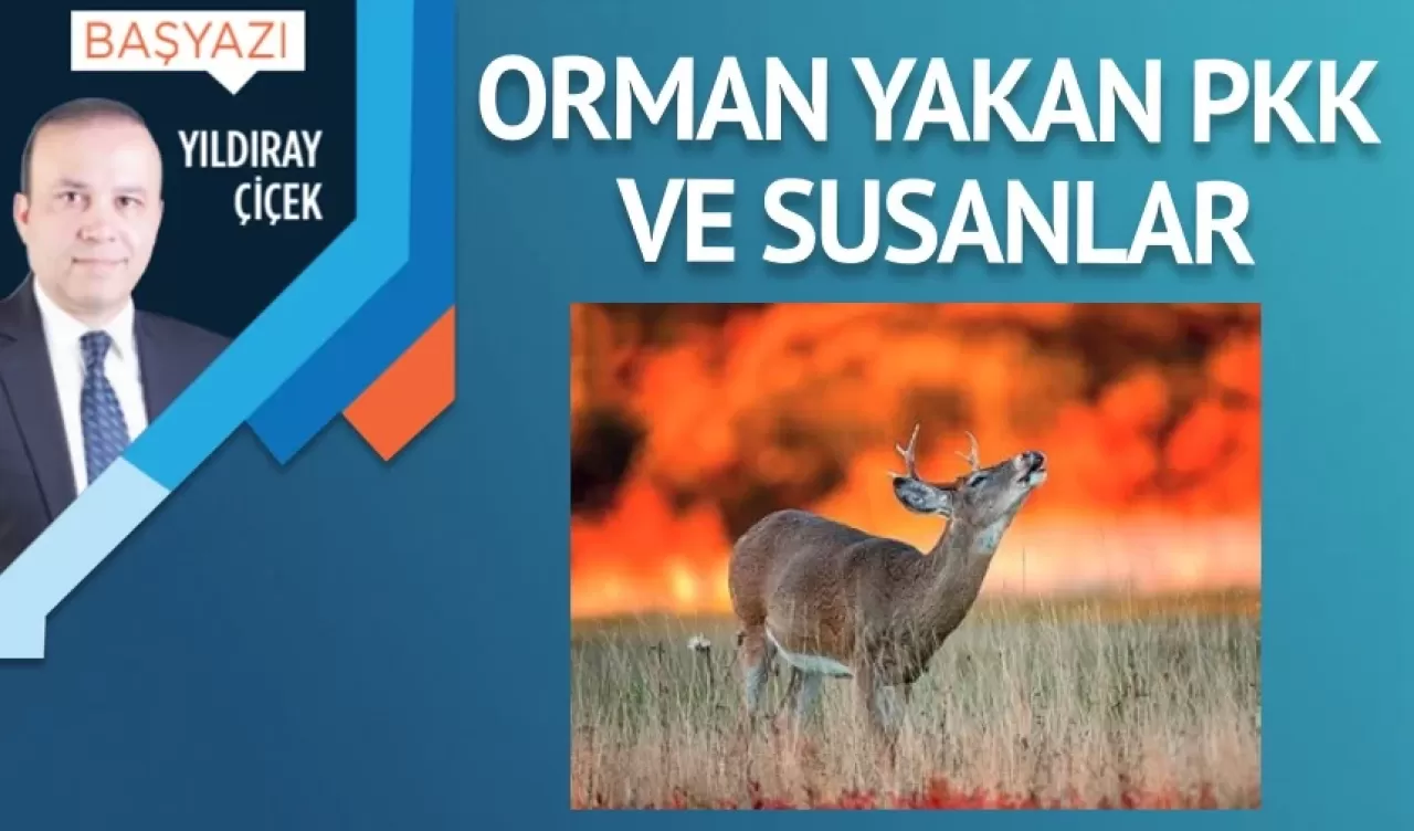 Orman yakan PKK ve susanlar