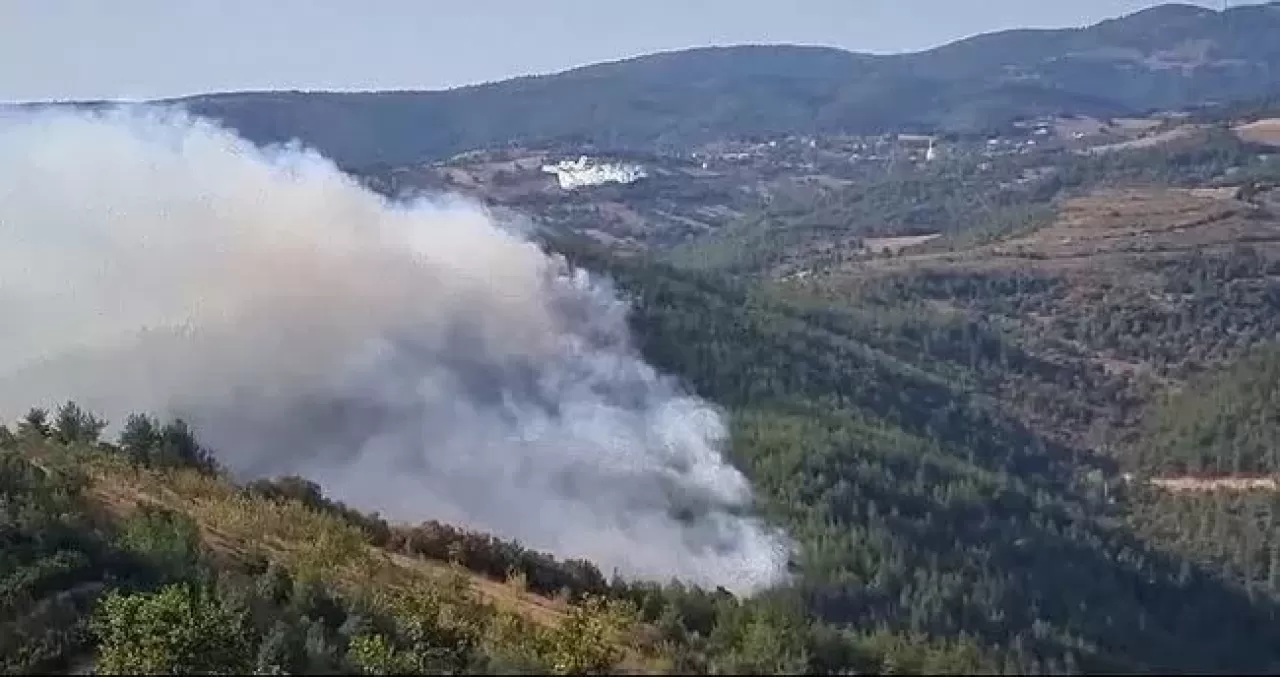 İznik'te çıkan orman yangınına 6 uçak ve 3 helikopter müdahale ediyor