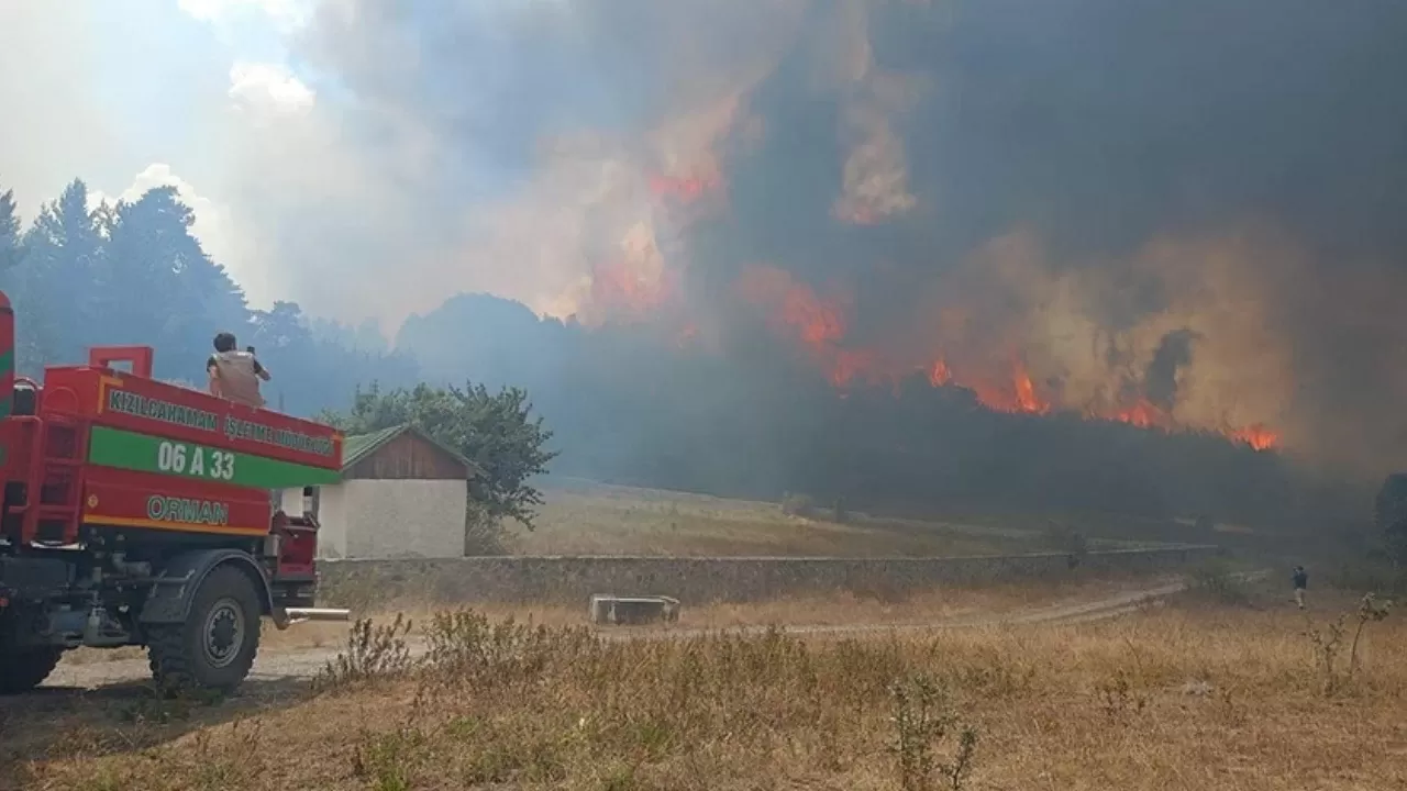 Bolu-Ankara sınırında orman yangını