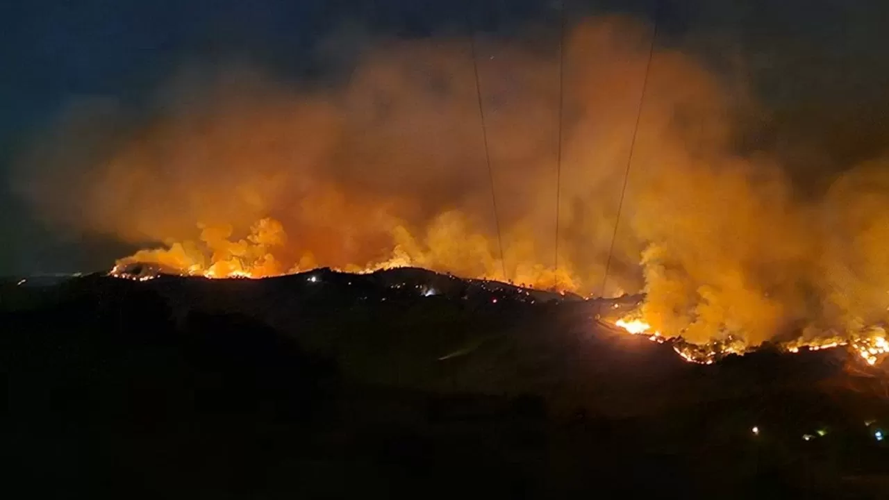 Bolu, Manisa ve İzmir'de orman yangını