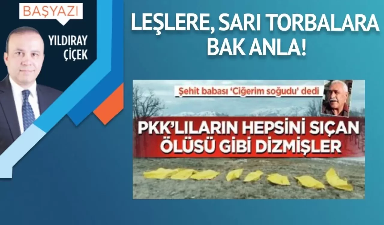 Leşlere, sarı torbalara bak anla!