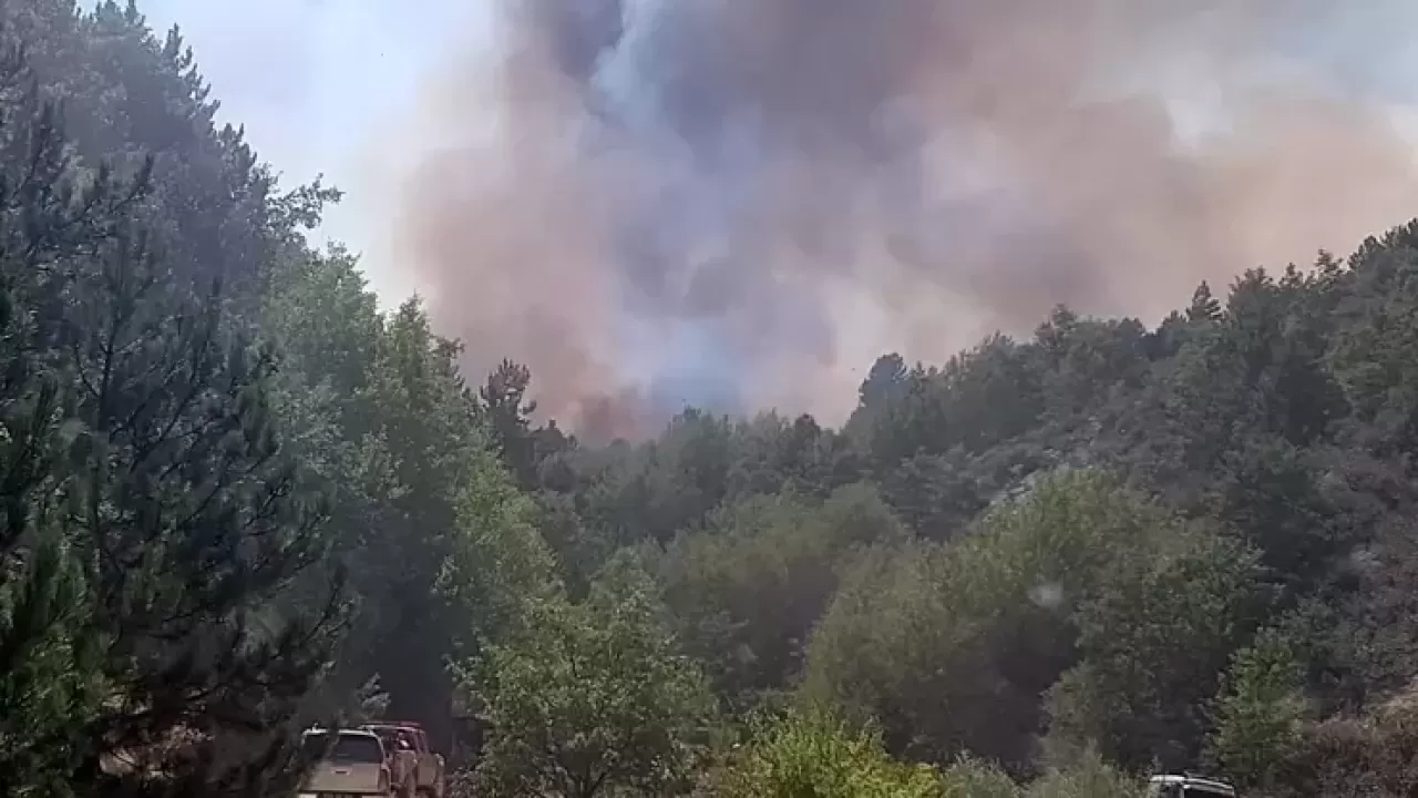 Afyonkarahisar'da orman yangını! Ekipler müdahale ediyor