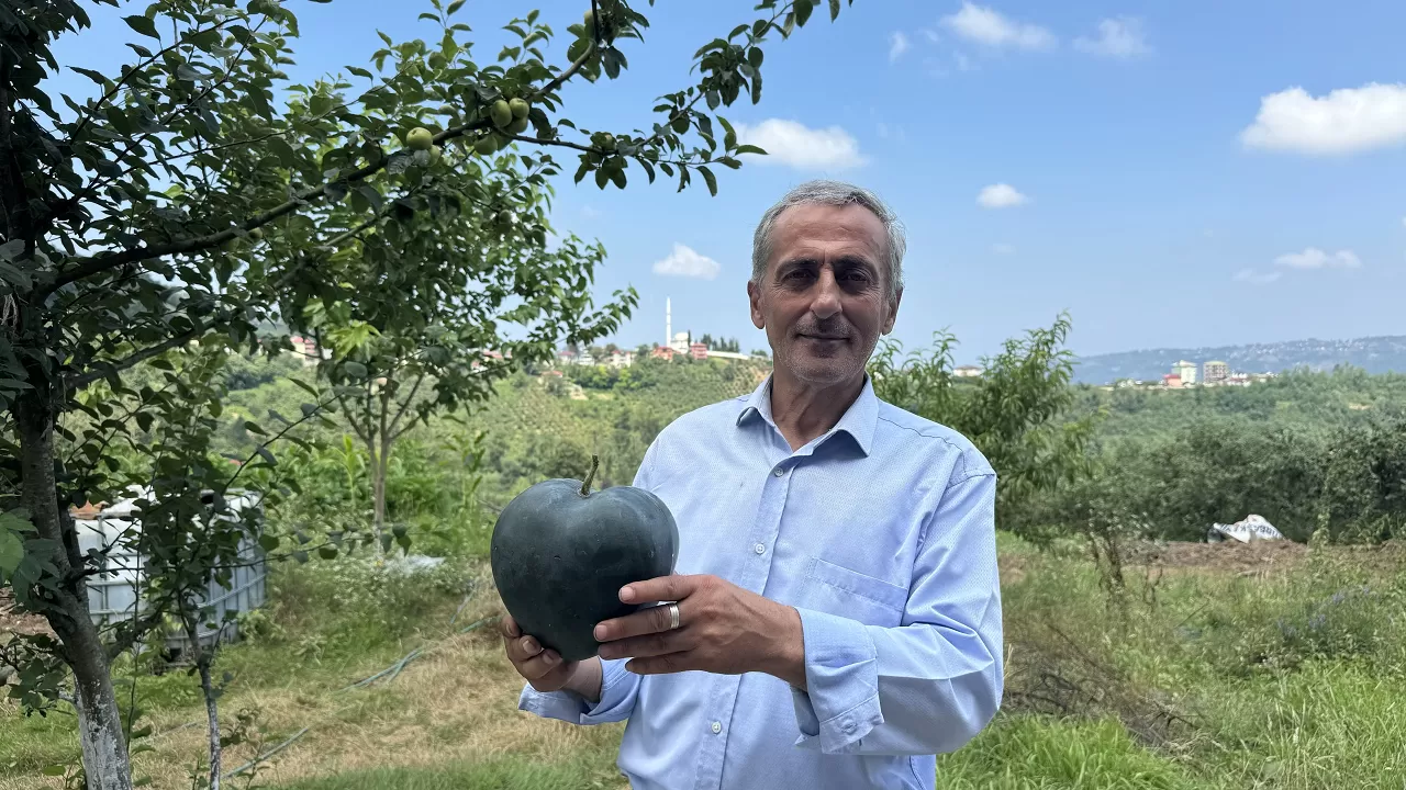 Fıkra gibi haber: Japonlar yapar da 'Talihsiz Temel' durur mu!