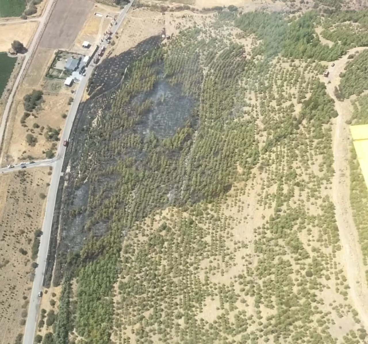 İzmir Bergama'da çıkan orman yangını kontrol altına alındı