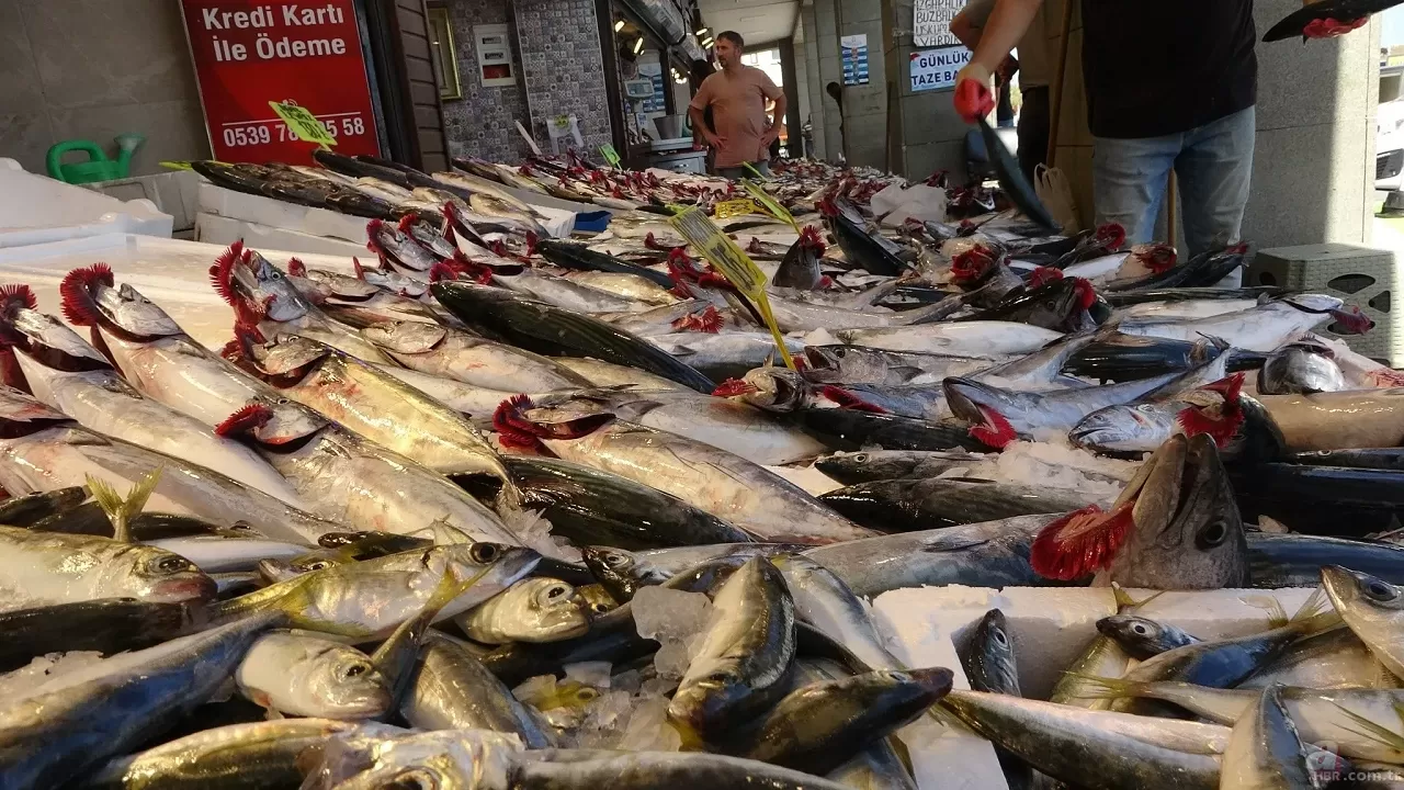 Av yasağı kalktı, tezgahlarda palamut bereketi yaşandı