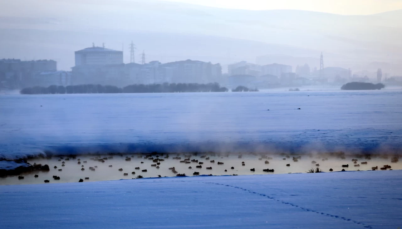 "Ardahan'da Kura Nehri'nde göz kamaştırıcı doğa görselliği