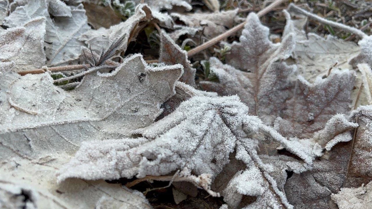 Ağrı'da hava eksi 9 derece: Dereler buz tuttu