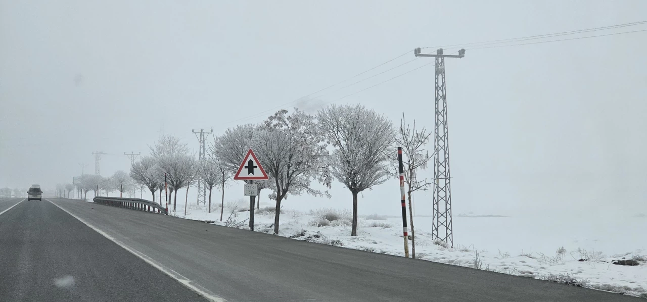 Bitlis'te hava soğukluğundan ağaçlar kırağı tuttu