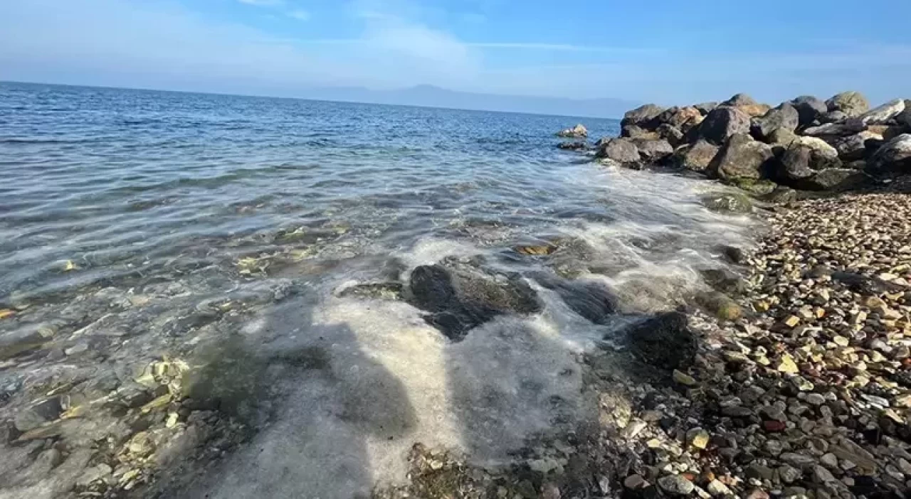 Marmara Denizi'nde çanlar çalıyor! Balıkçıların kabusu yeniden gündemde